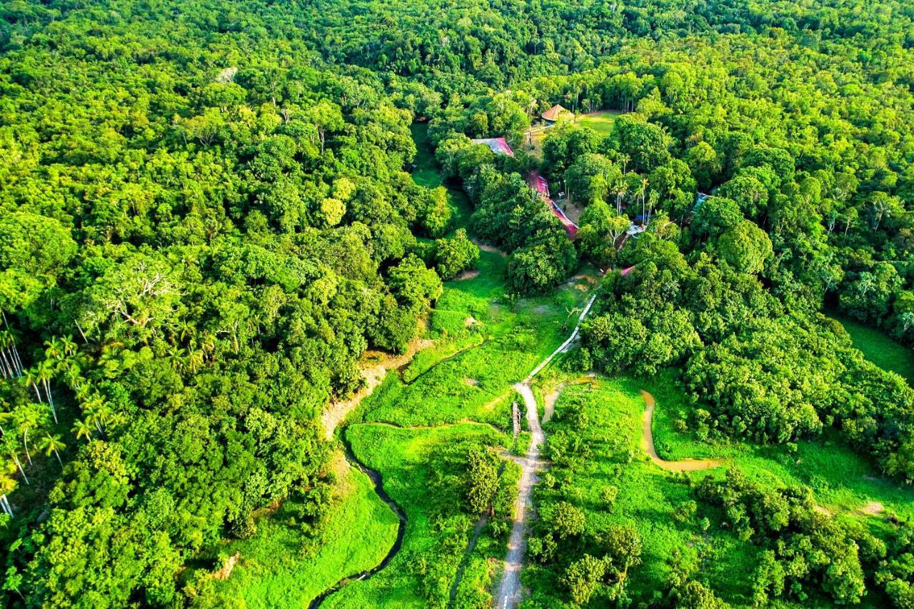 Amazonia Jungle Hotel Iranduba 外观 照片