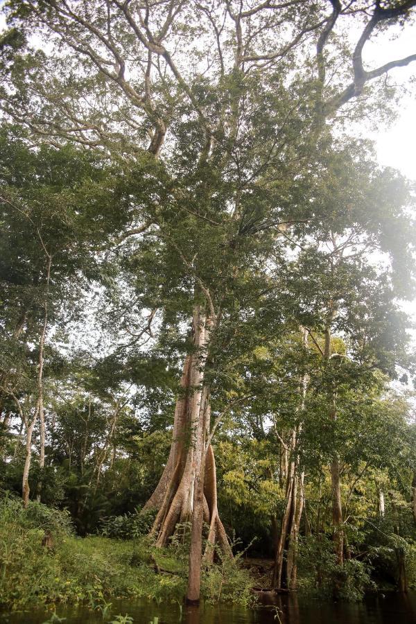 Amazonia Jungle Hotel Iranduba 外观 照片