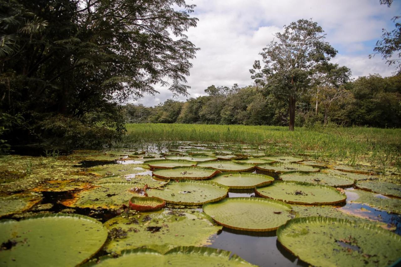 Amazonia Jungle Hotel Iranduba 外观 照片